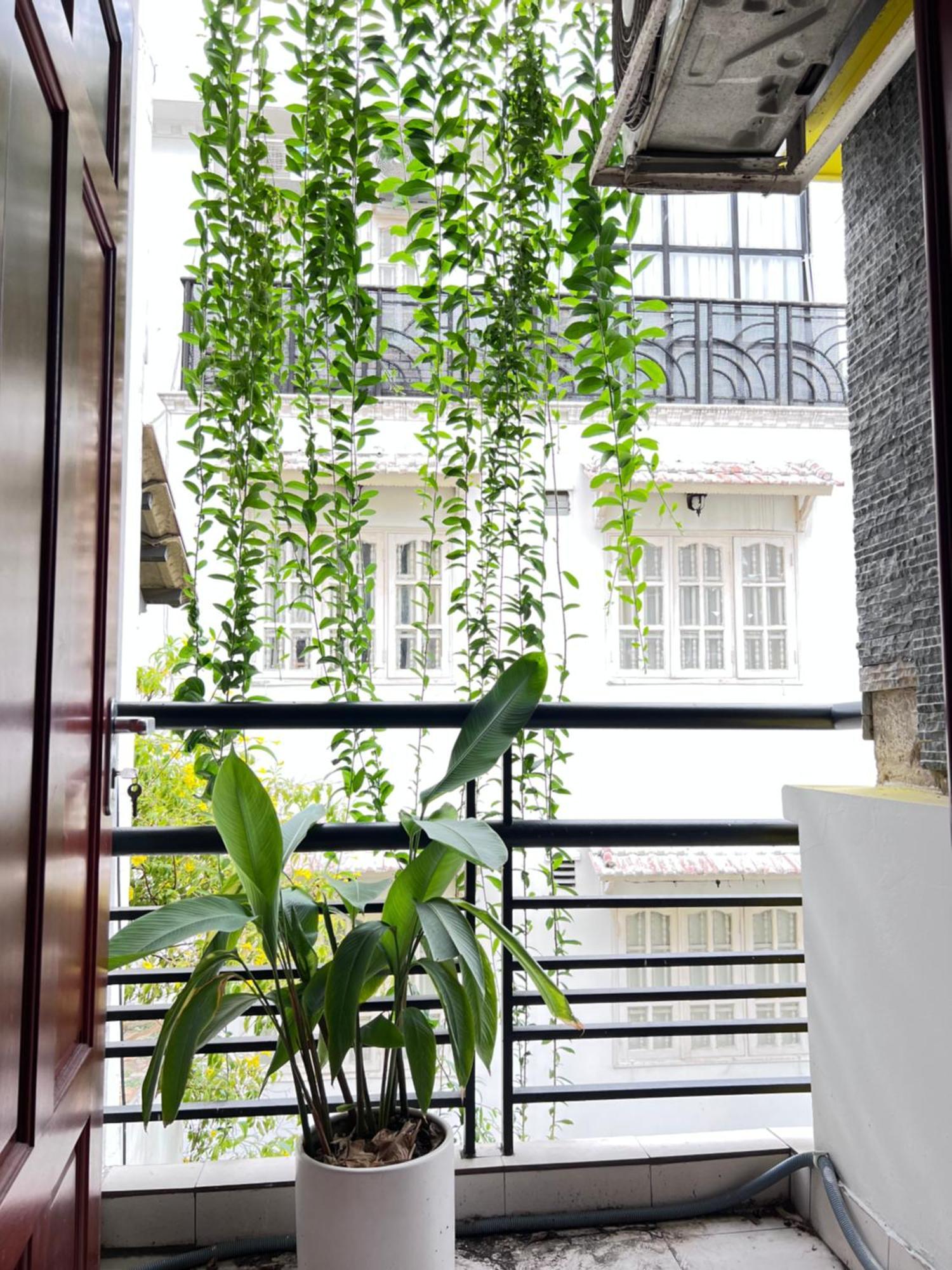 Co Homestay Saigon Хошимин Экстерьер фото